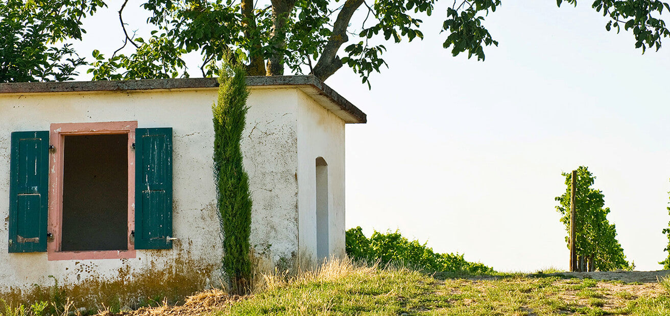 Weinberghaus mit Fensterläden, Weinberge im Hintergrund