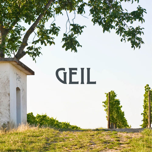 Gutscheinbild: Weinbergshaus mit Weinbergen im Hintergrund, mittiges GEIL Logo