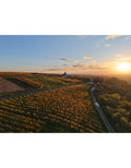 Riesling ZELLERWEG AM SCHWARZEN HERRGOTT Flasche