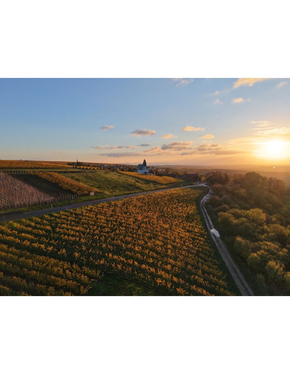Riesling ZELLERWEG AM SCHWARZEN HERRGOTT Flasche